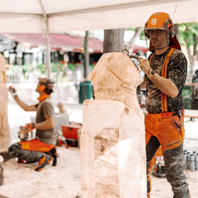 TivoliCatKoppelDag122630x410px